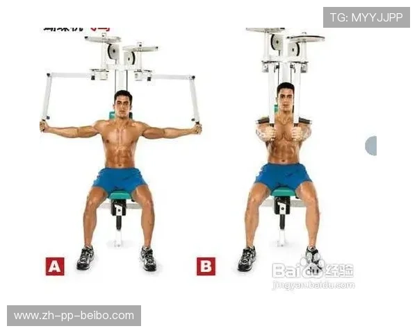 高拉力训练器的使用方法与背部肌肉训练